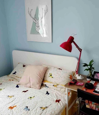 Advanced Chinese language learning and cultural immersion