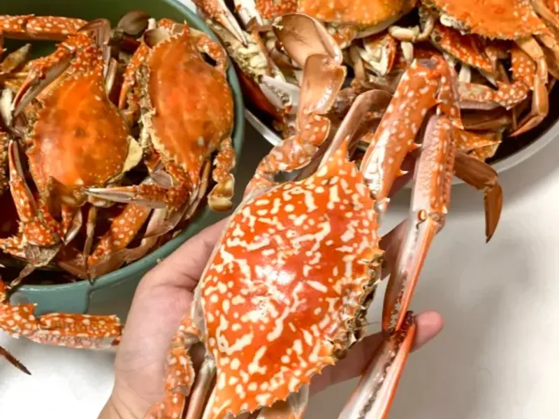 Crabs and Mantis Shrimp