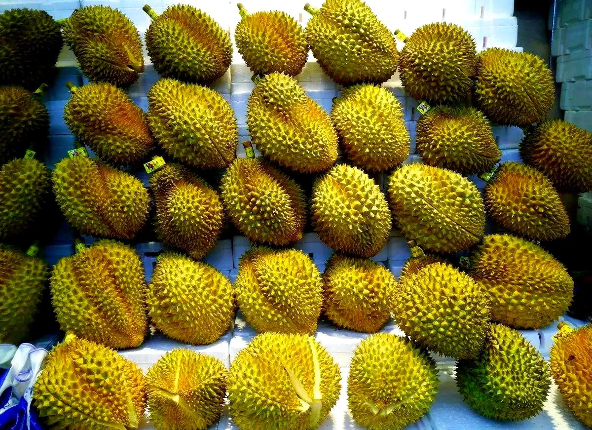 Durian