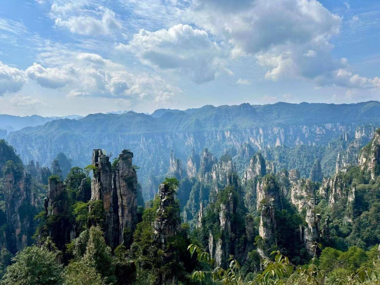 Towering quartz sandstone peaks of Zhangjiajie National Forest Park shrouded in mist, a UNESCO World Natural Heritage site.