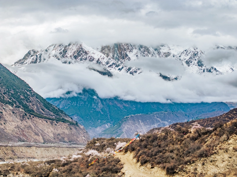 Panoramic view of the Qinghai-Tibet Plateau with snow-capped mountains, vast grasslands, and turquoise lakes under a clear blue sky, symbolizing the ‘Roof of the World’ and the harmony of nature and culture.