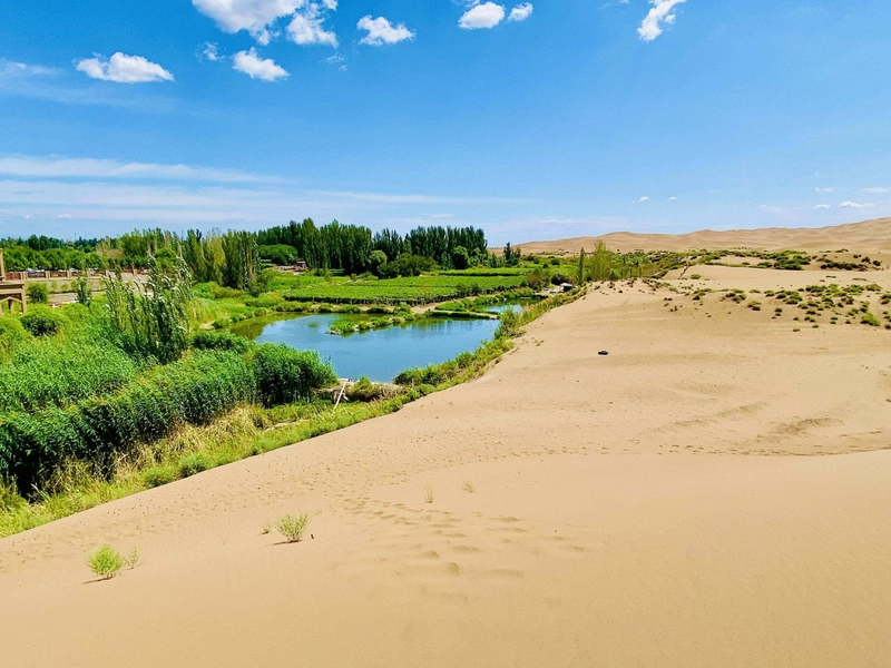 Xinjiang landscape view with mountains, desert, and oasis