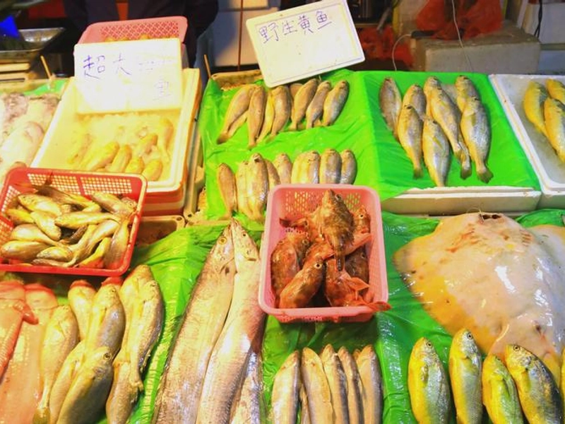 Various kinds of seafood