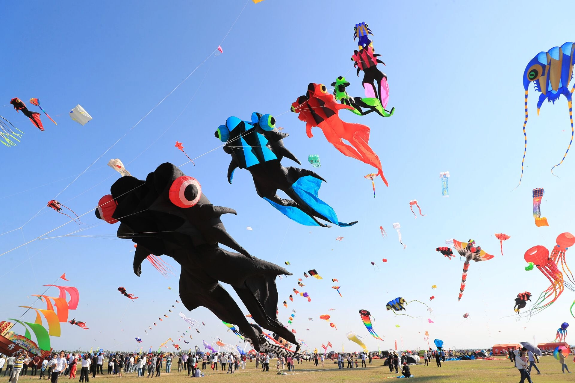 Colorful kites soaring at the Weifang International Kite Festival