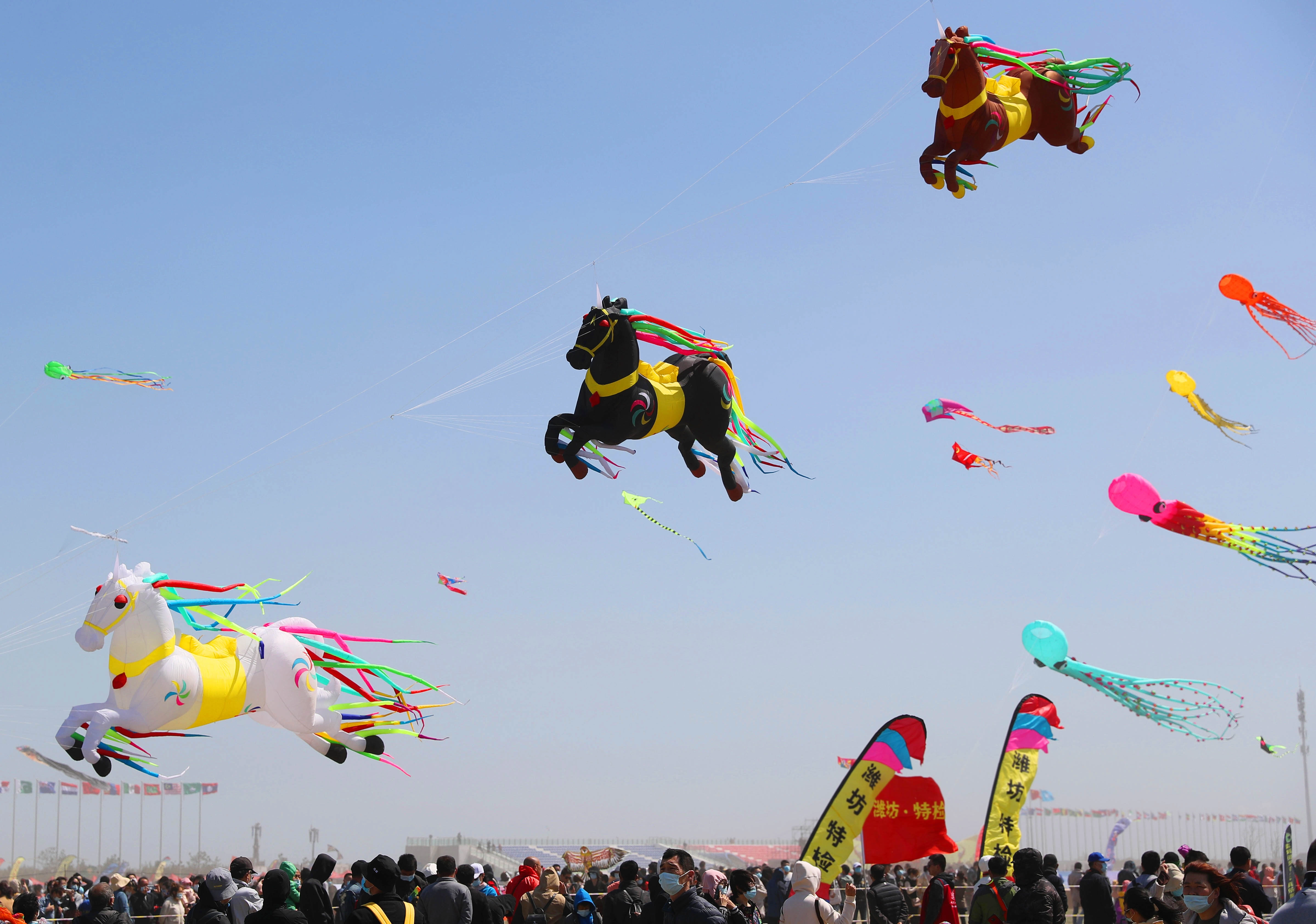 Weifang Kites