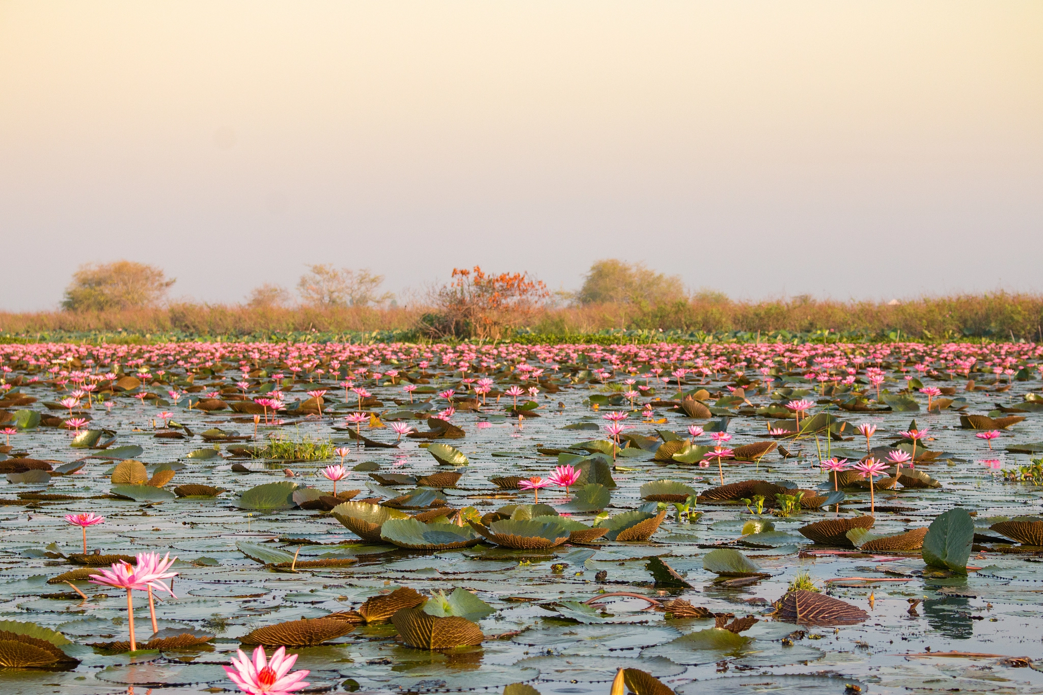 The Spirit of Springs and Lakes；rpl,rplschool,madarlin study,chinese study