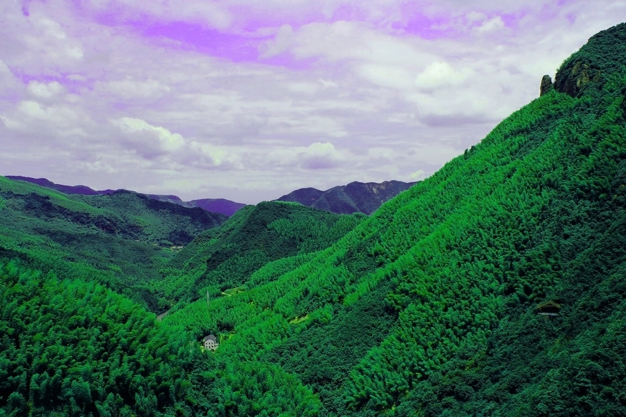 Tianmu Mountain bamboo forests and Kuocang Mountain terraced fields in Western Zhejiang