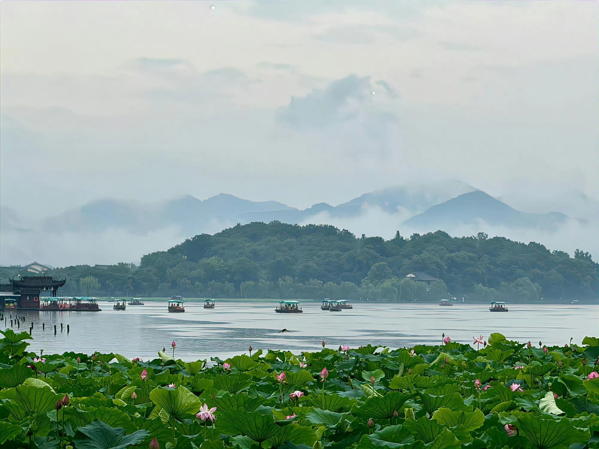 West Lake - cultural imprint with Su Causeway willows and peach blossoms