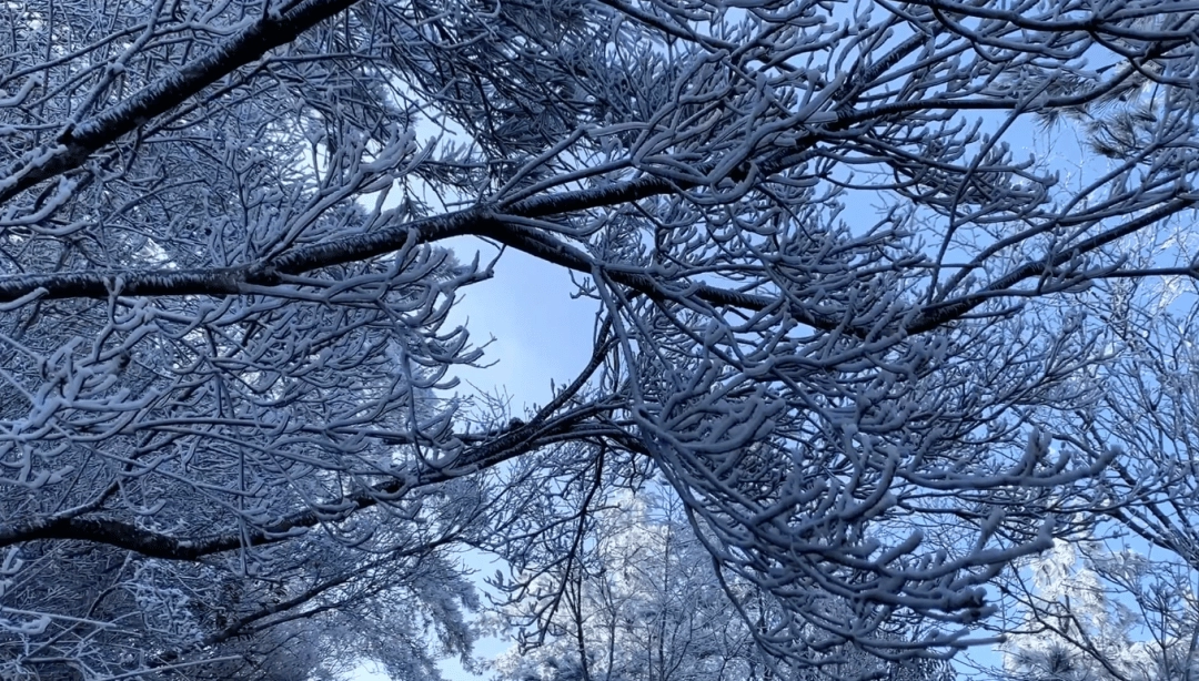 Winter snowscape at Tiantong Temple and water towns in Zhejiang