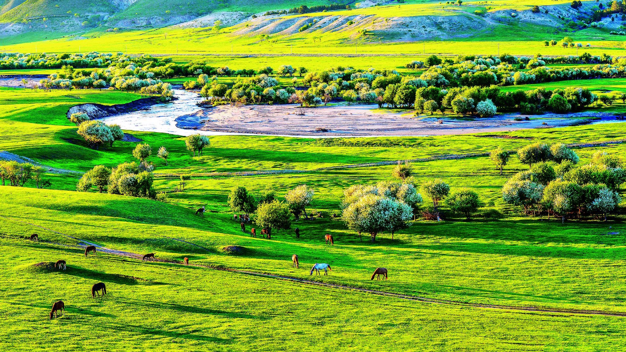 Inner Mongolia — An Epic of the Grasslands