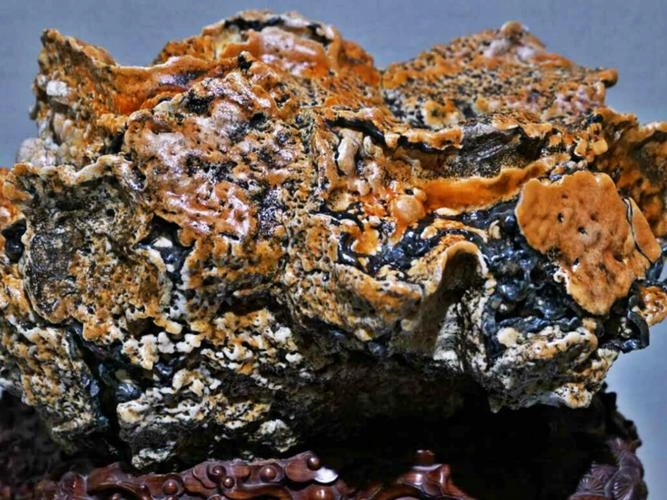 Colorful Alxa rare stones and agates from Mongolian desert