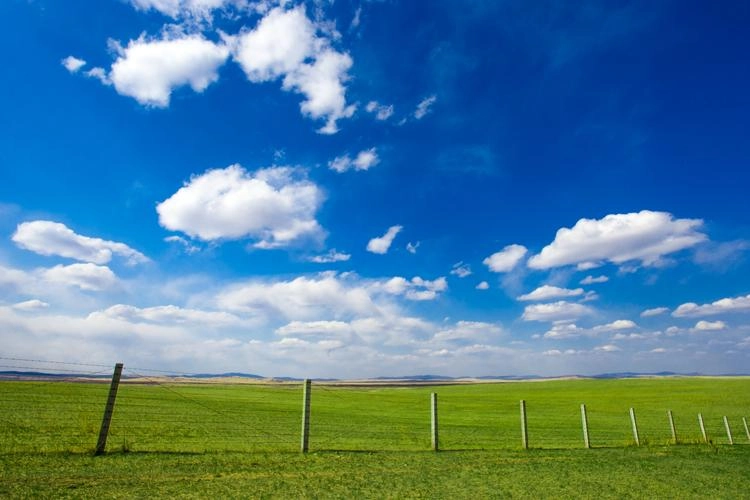 Spring awakening on Inner Mongolian grassland with melting snow and new grass growth