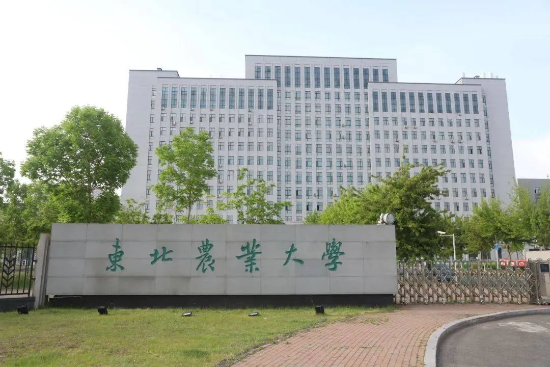 Northeast Agricultural University