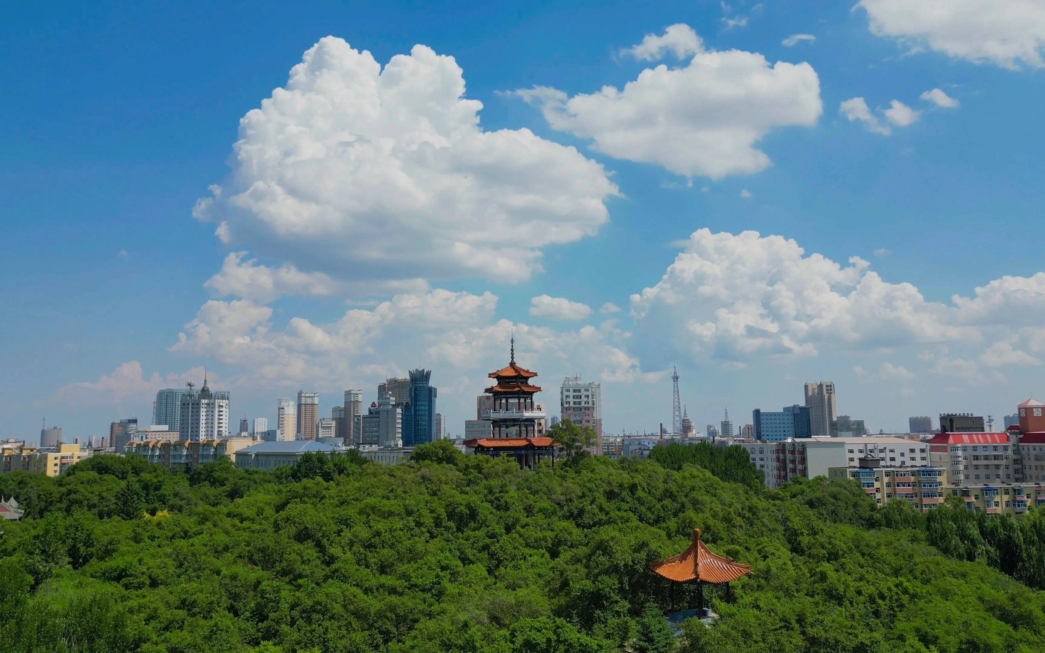 Qiqihar city featuring Zhalong Wetland with red-crowned cranes and heavy industry facilities