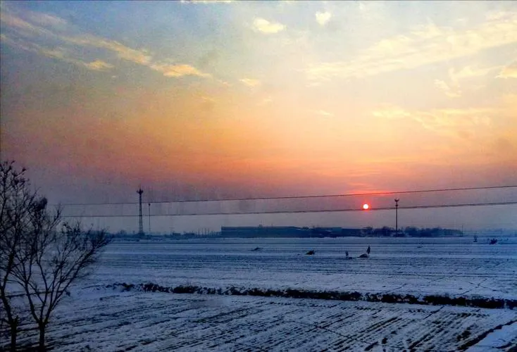 Vast Hebei Plain with golden wheat fields and modern agricultural landscapes