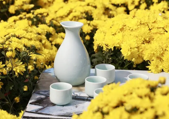 Traditional chrysanthemum wine brewing process showing fermentation jars and ingredients