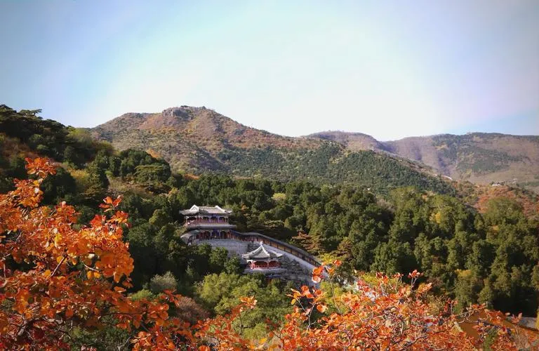 Traditional Chongyang Festival activities including chrysanthemum displays and elderly appreciation events