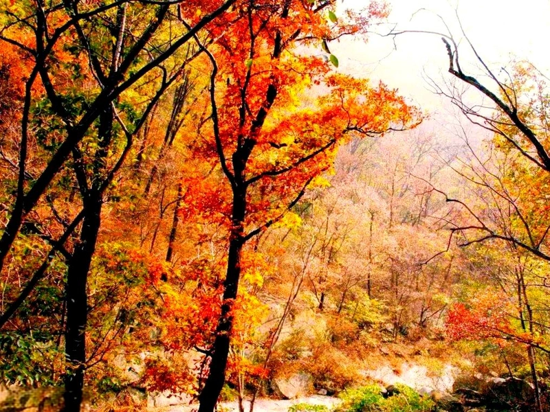 Nanyang Basin landscape where Yellow River and Yangtze River civilizations meet