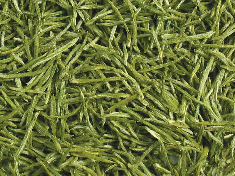 Cup of Xinyang Maojian tea with green leaves and clear liquid