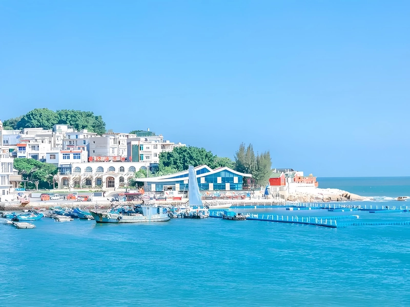 Fields of blooming narcissus flowers and traditional red-brick houses in Zhangzhou under warm sunlight