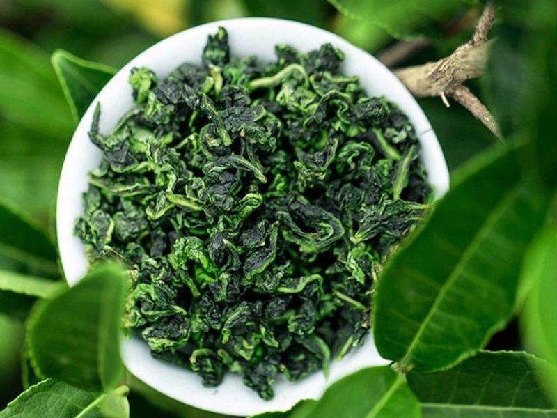 Anxi Tieguanyin oolong tea with tightly rolled leaves and golden liquor