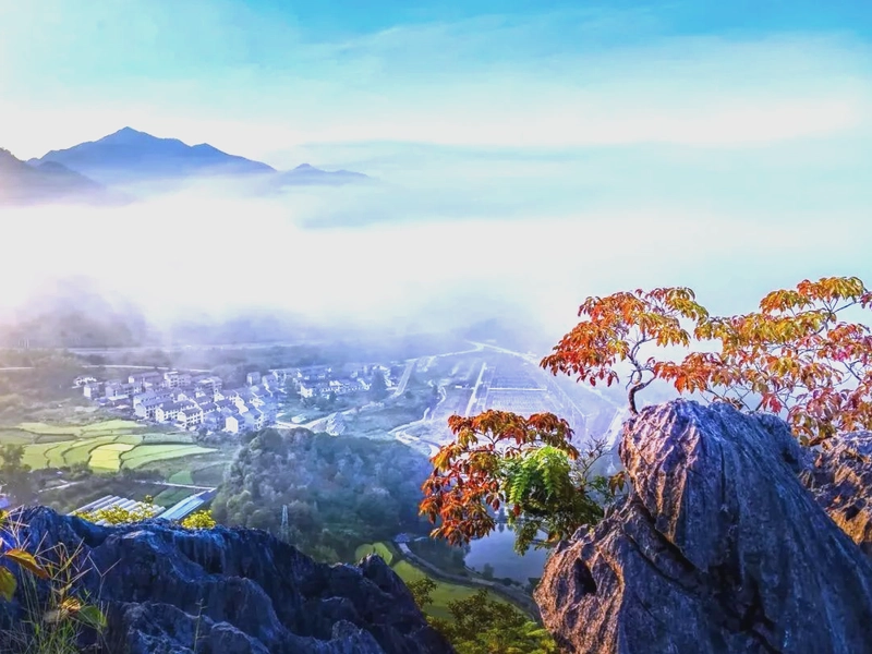 Gulangyu Island in summer with coastal scenery and vibrant fishing markets