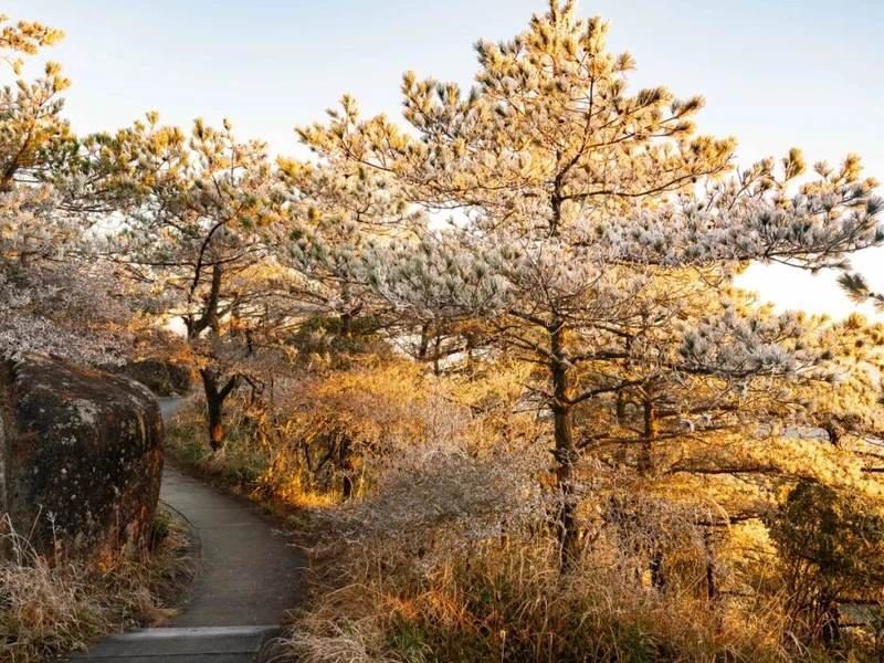 Xiamen seaside in winter with warm climate and Wuyi Mountains cloud seas