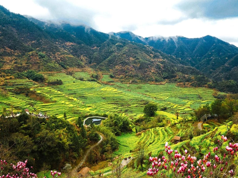 Wuyuan countryside with Huizhou architecture and golden rapeseed fields