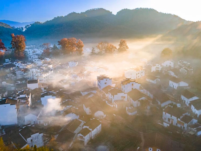 Autumn scenery in Nanchang with golden terraced fields and Gannan oranges