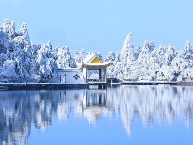 Jinggang Mountain winter snowscape with evergreen pines and migratory birds at Poyang Lake