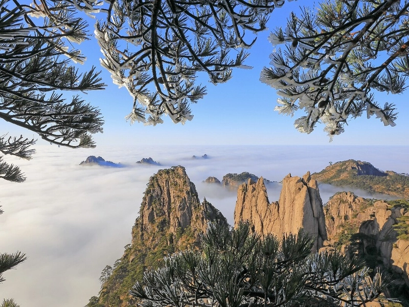 Huangshan Yellow Mountain with sea of clouds, pine trees, and rocky peaks