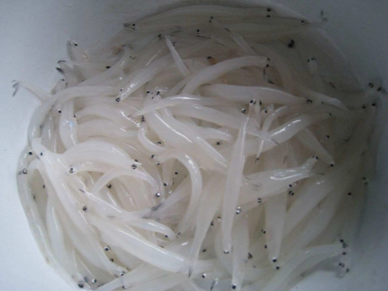 Luzhou Roast Duck with golden crispy skin and tender meat served with pancakes and sauce