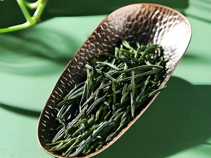 Liu’an Guapian tea with melon seed shaped leaves brewing into clear green liquor