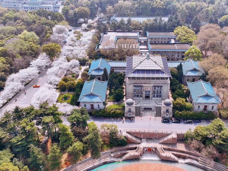 Cherry blossom season at Wuhan University, East Lake, Hubei