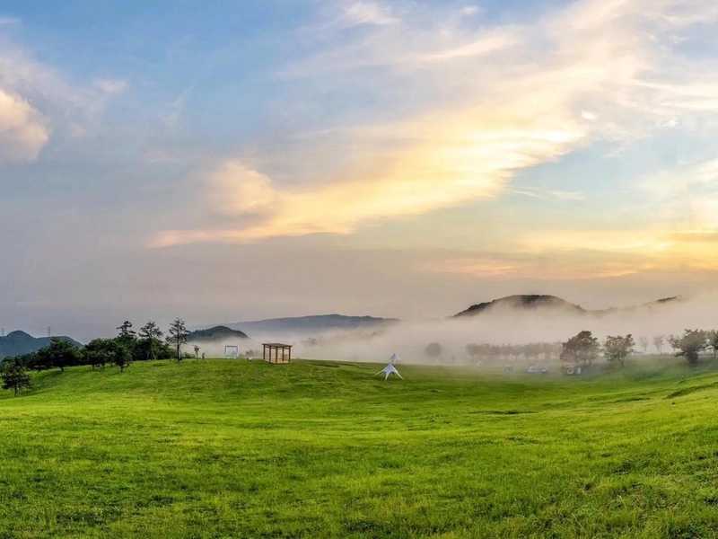Lotus blossoms on Honghu Lake in summer