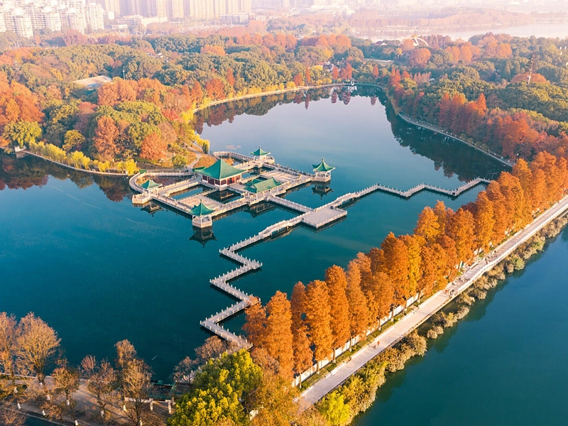 East Lake in Wuhan surrounded by cherry blossoms and walking paths