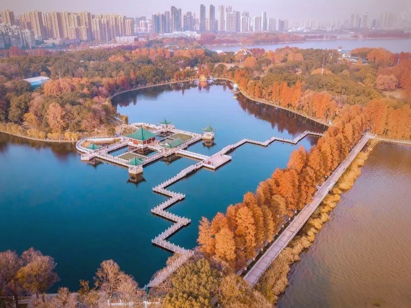 Mount Wudang with red maple leaves in autumn