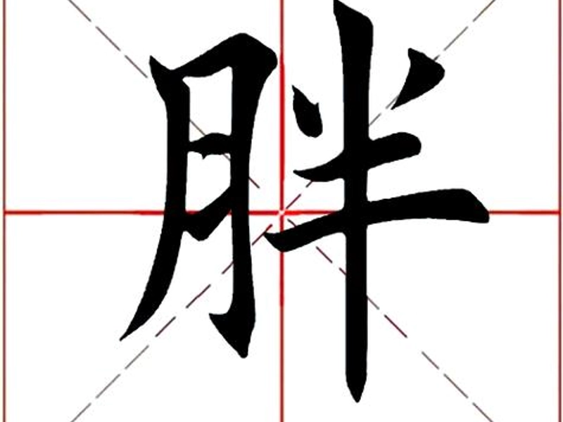 Illustration of the Chinese character 胖 (pàng/pán) showing its meanings of physical plumpness, comfort, and contentment, with common word combinations, historical roots, and cultural significance in Chinese society.