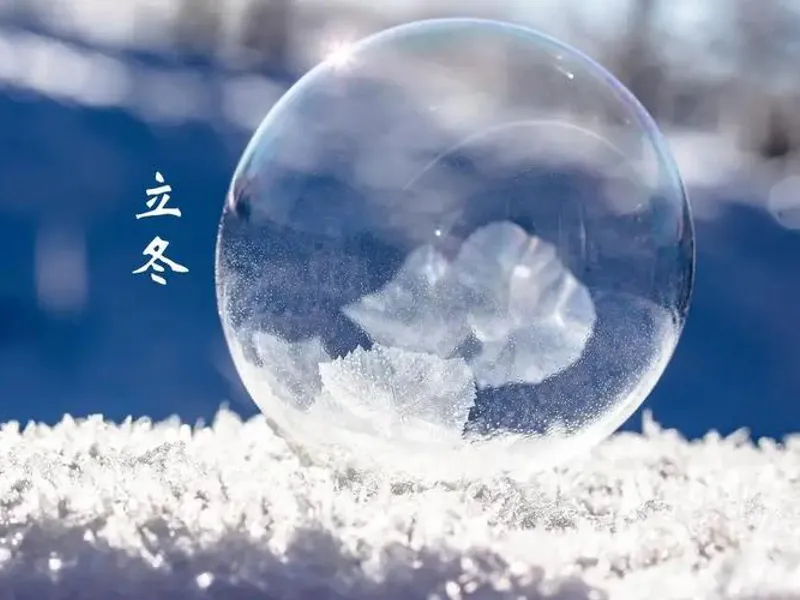 An essential guide to the 19th Chinese Solar Term, illustrating the millennia-old ritual of Winter Storage for both nature and the body, reflecting Chinese culture’s philosophy of following the seasons through nourishing foods like dumplings and quiet reflection.