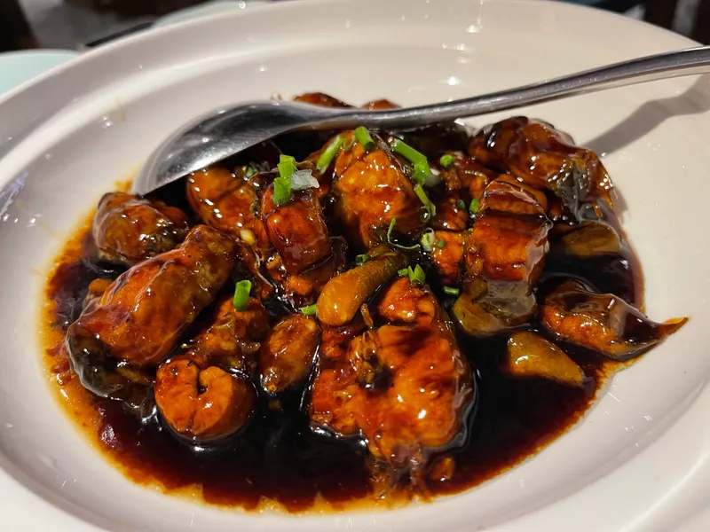 A rich, nourishing bowl of Southern Chinese tonic soup, such as Ginger Duck or Lamb Stew, representing the 'Bu Dong' tradition in the south.