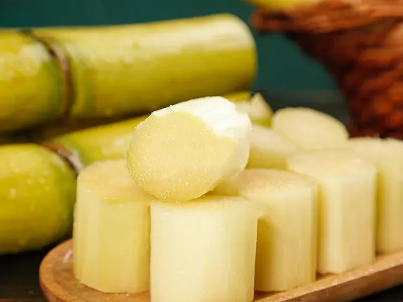 An image showing various regional Lidong foods, including sugar cane and festive rice balls, symbolizing diverse local customs.