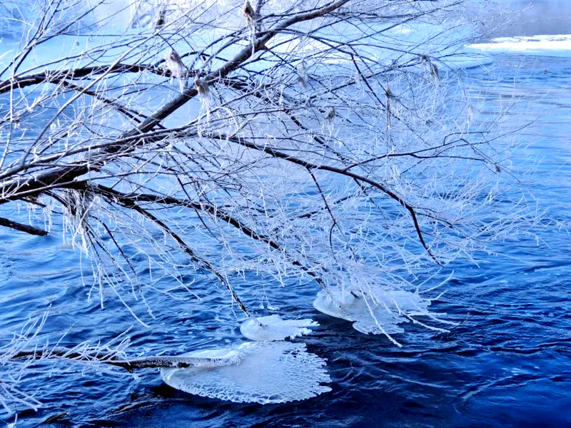 A serene, abstract image symbolizing the harmony between humanity and nature (Tian Ren He Yi), representing the core philosophy of 'Winter Storage' and accumulation of energy.