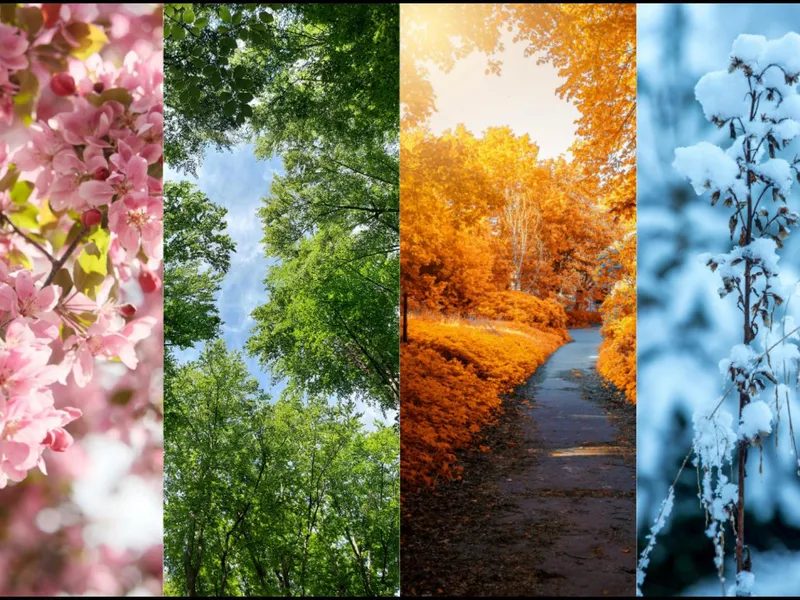 A colorful display of Four Seasons Chinese cuisine, featuring spring vegetables, summer chilled dishes, autumn harvest foods, and winter hot pot, illustrating seasonal ingredients, traditional cooking, and cultural celebration in Chinese food.