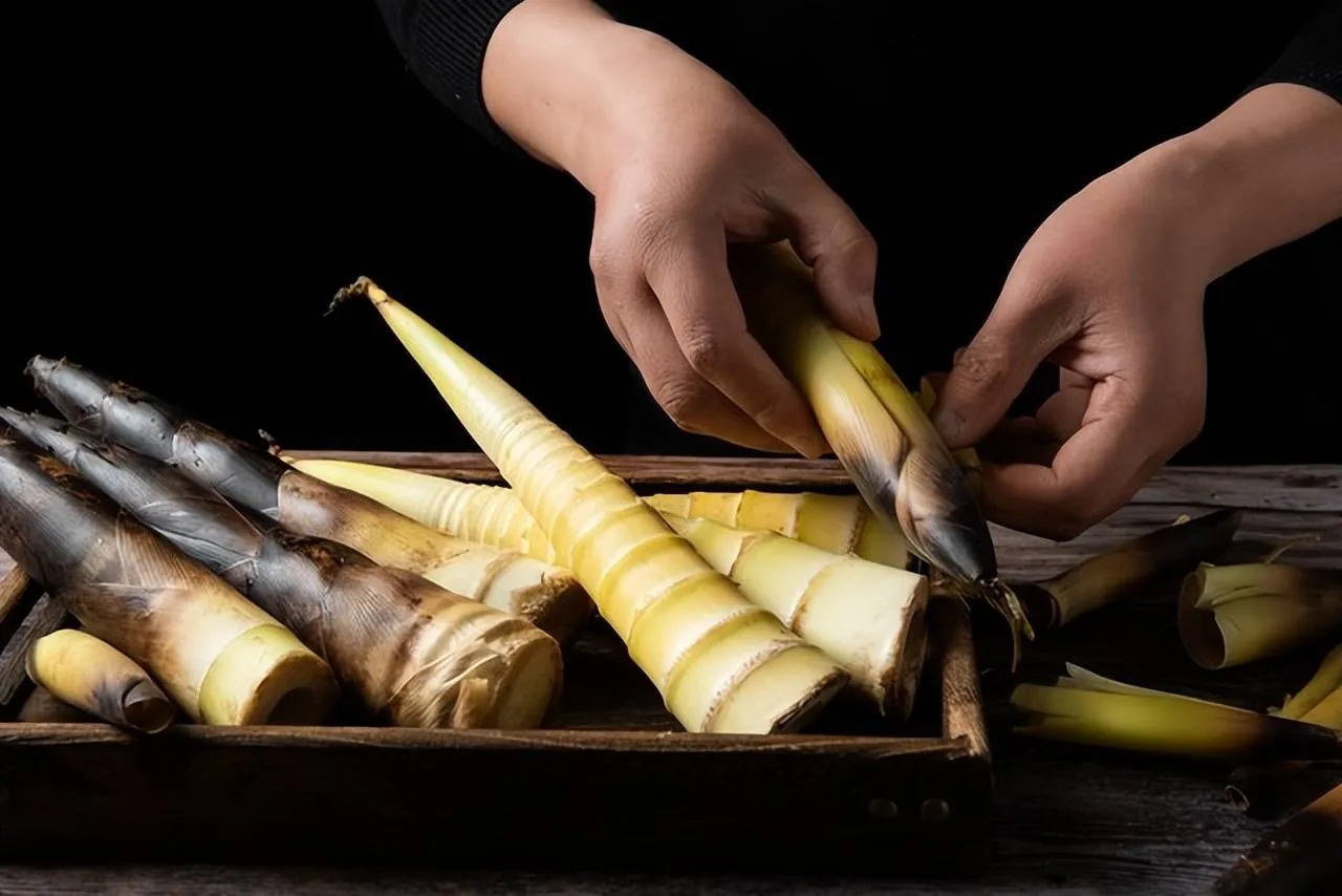 Bamboo in Daily Life