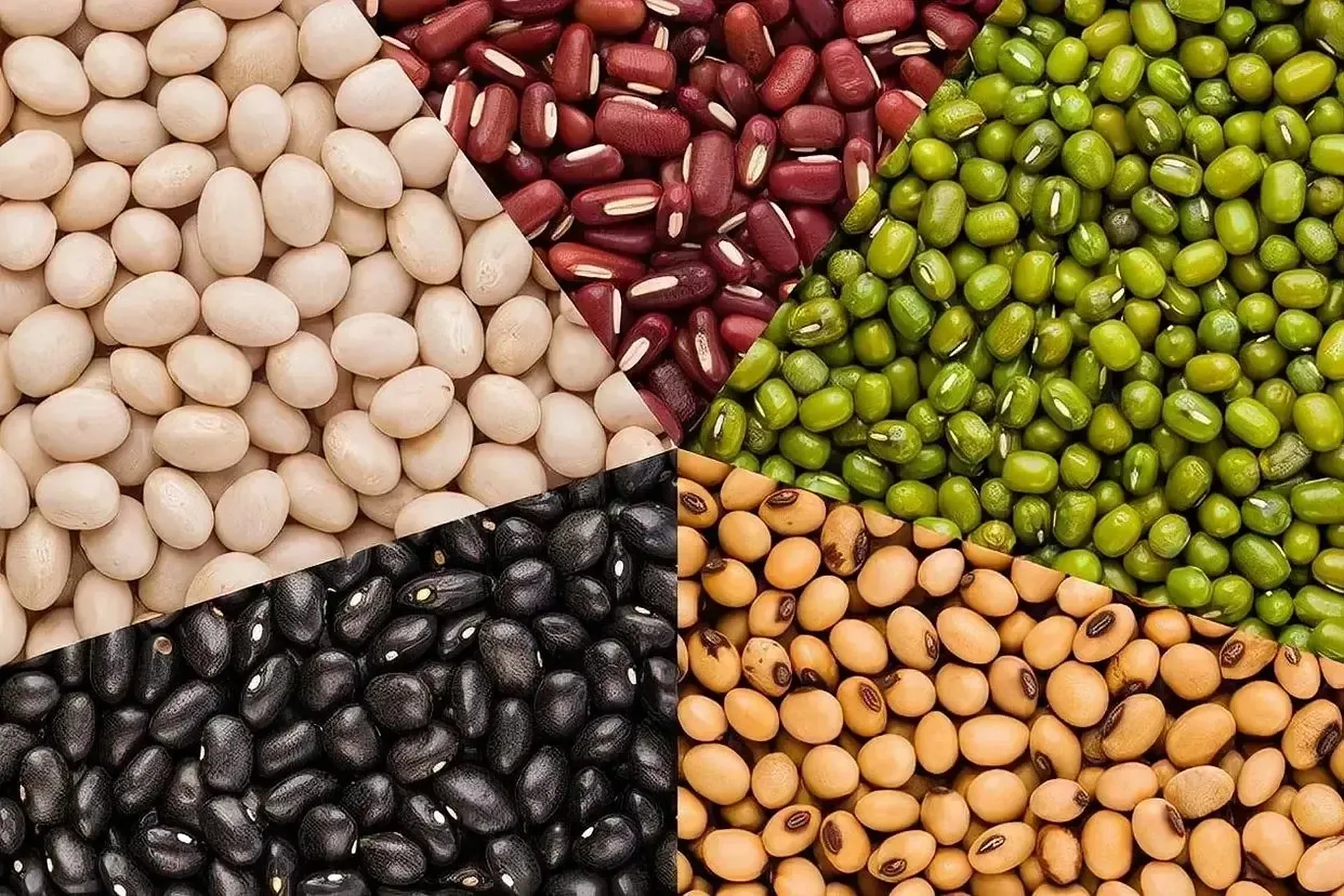 Various Chinese beans including soybeans (黄豆), red beans (红豆), mung beans (绿豆), and black beans (黑豆) displayed with dishes highlighting their culinary use in traditional and modern Chinese cuisine.