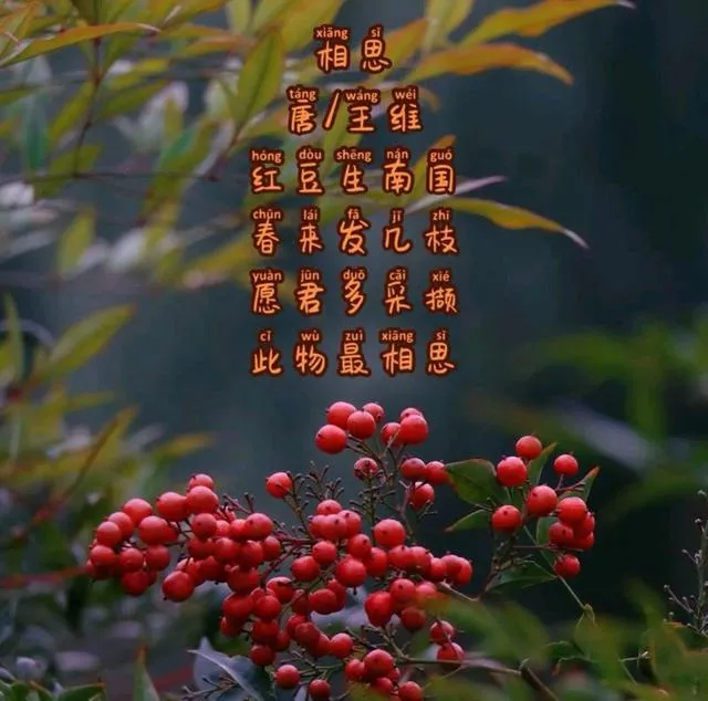 Red beans historical context