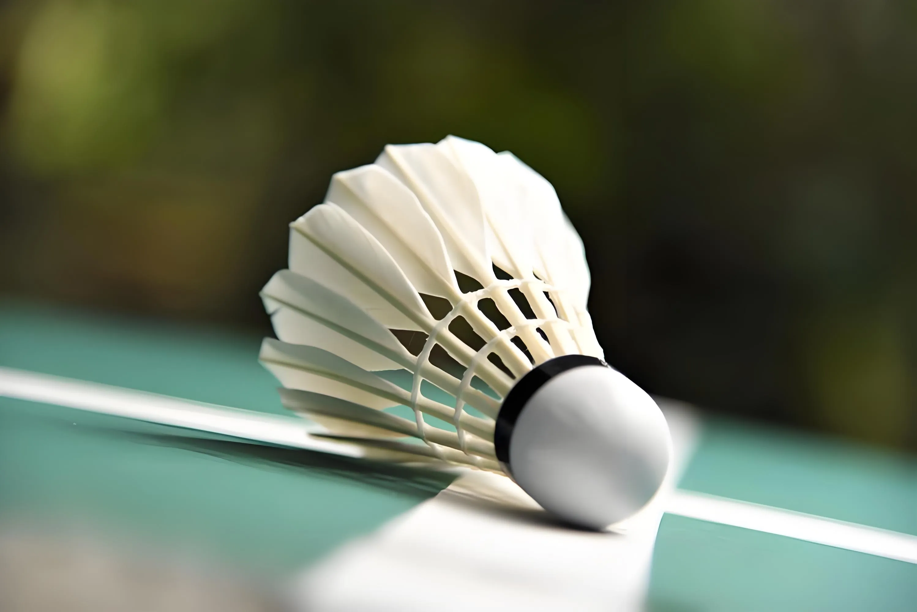Badminton rise in China