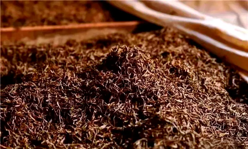 Chinese black tea exported to Europe, shaping global tea culture and trade.