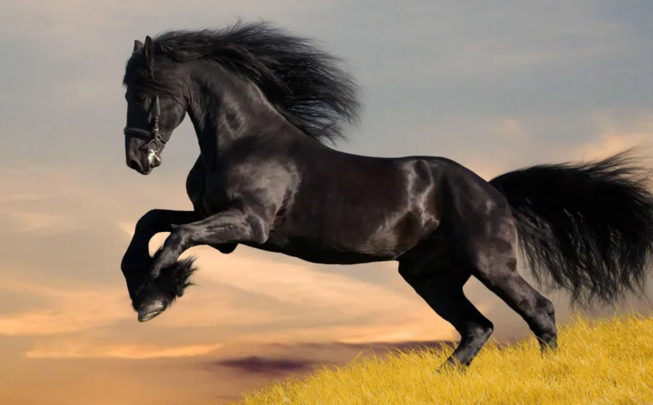 A comprehensive illustration representing the most famous horses in Chinese culture, including ancient warhorses, Tang dynasty horse art, and mythical dragon horses.