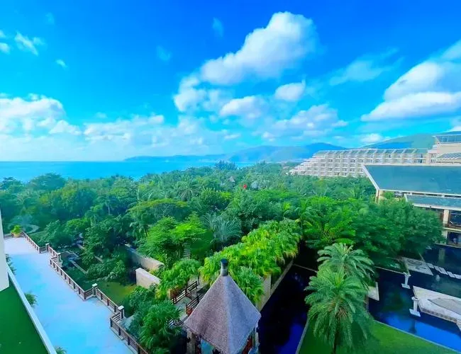 Sanya beach in November, palm trees and clear blue water